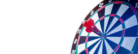 Our <strong>Projects</strong>